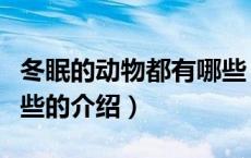 冬眠的动物都有哪些（关于冬眠的动物都有哪些的介绍）