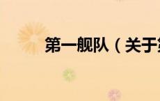 第一舰队（关于第一舰队的介绍）