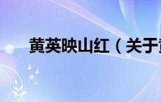 黄英映山红（关于黄英映山红的介绍）