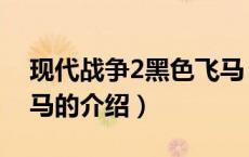 现代战争2黑色飞马（关于现代战争2黑色飞马的介绍）