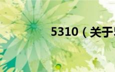 5310（关于5310的介绍）