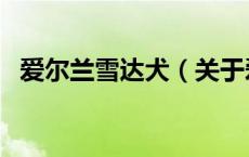 爱尔兰雪达犬（关于爱尔兰雪达犬的介绍）