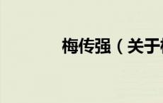 梅传强（关于梅传强的介绍）