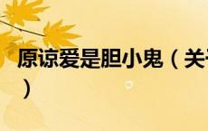 原谅爱是胆小鬼（关于原谅爱是胆小鬼的介绍）