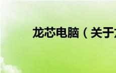 龙芯电脑（关于龙芯电脑的介绍）