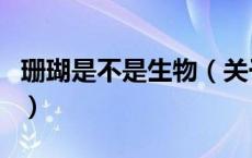珊瑚是不是生物（关于珊瑚是不是生物的介绍）
