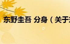 东野圭吾 分身（关于东野圭吾 分身的介绍）