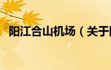 阳江合山机场（关于阳江合山机场的介绍）
