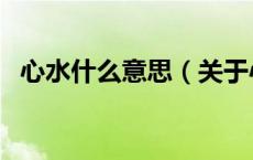 心水什么意思（关于心水什么意思的介绍）
