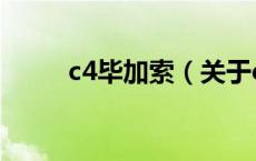 c4毕加索（关于c4毕加索的介绍）