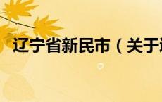 辽宁省新民市（关于辽宁省新民市的介绍）