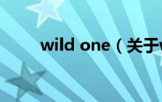 wild one（关于wild one的介绍）