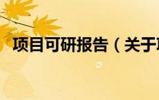 项目可研报告（关于项目可研报告的介绍）