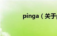 pinga（关于pinga的介绍）