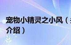 宠物小精灵之小风（关于宠物小精灵之小风的介绍）