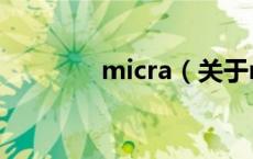 micra（关于micra的介绍）