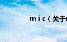m i c（关于m i c的介绍）