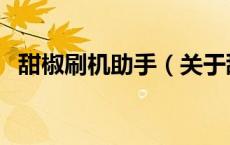 甜椒刷机助手（关于甜椒刷机助手的介绍）