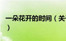 一朵花开的时间（关于一朵花开的时间的介绍）