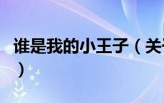 谁是我的小王子（关于谁是我的小王子的介绍）