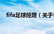 fifa足球经理（关于fifa足球经理的介绍）