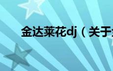 金达莱花dj（关于金达莱花dj的介绍）