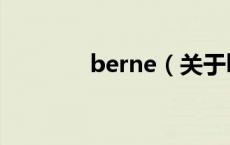 berne（关于berne的介绍）