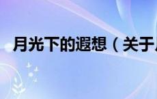 月光下的遐想（关于月光下的遐想的介绍）