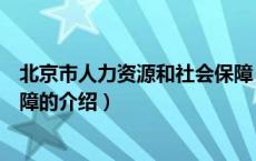 北京市人力资源和社会保障（关于北京市人力资源和社会保障的介绍）