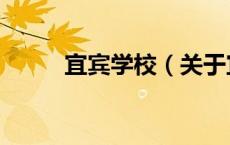 宜宾学校（关于宜宾学校的介绍）