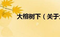 大榕树下（关于大榕树下的介绍）