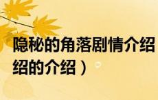 隐秘的角落剧情介绍（关于隐秘的角落剧情介绍的介绍）