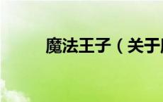 魔法王子（关于魔法王子的介绍）