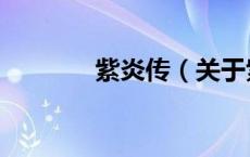 紫炎传（关于紫炎传的介绍）