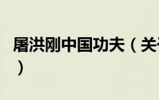 屠洪刚中国功夫（关于屠洪刚中国功夫的介绍）