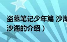 盗墓笔记少年篇 沙海（关于盗墓笔记少年篇 沙海的介绍）