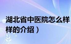 湖北省中医院怎么样（关于湖北省中医院怎么样的介绍）