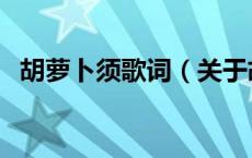 胡萝卜须歌词（关于胡萝卜须歌词的介绍）