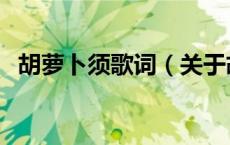 胡萝卜须歌词（关于胡萝卜须歌词的介绍）