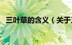 三叶草的含义（关于三叶草的含义的介绍）