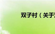 双子村（关于双子村的介绍）
