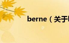 berne（关于berne的介绍）