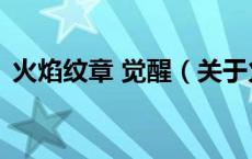 火焰纹章 觉醒（关于火焰纹章 觉醒的介绍）