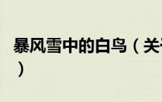 暴风雪中的白鸟（关于暴风雪中的白鸟的介绍）