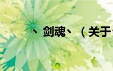 丶剑魂丶（关于丶剑魂丶的介绍）