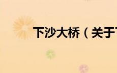 下沙大桥（关于下沙大桥的介绍）