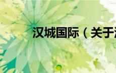 汉城国际（关于汉城国际的介绍）