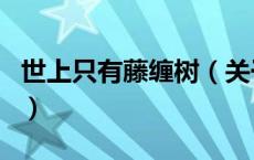 世上只有藤缠树（关于世上只有藤缠树的介绍）