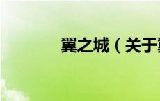 翼之城（关于翼之城的介绍）
