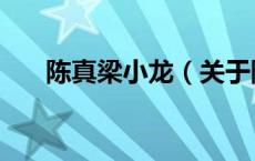 陈真梁小龙（关于陈真梁小龙的介绍）